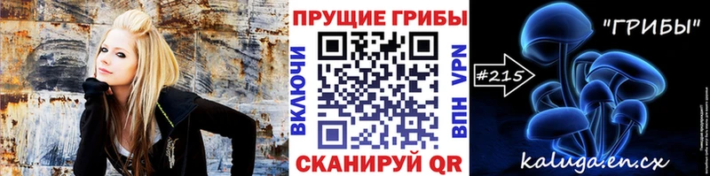 где купить наркоту  Моршанск  Галлюциногенные грибы мицелий 