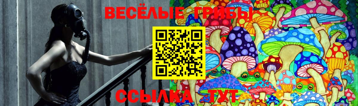 Моршанск  наркотики  Вход с VPN  Псилоцибиновые грибы Psilocybe 